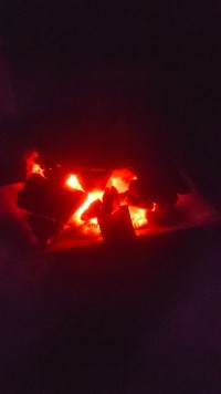 Professional Grade Charcoal