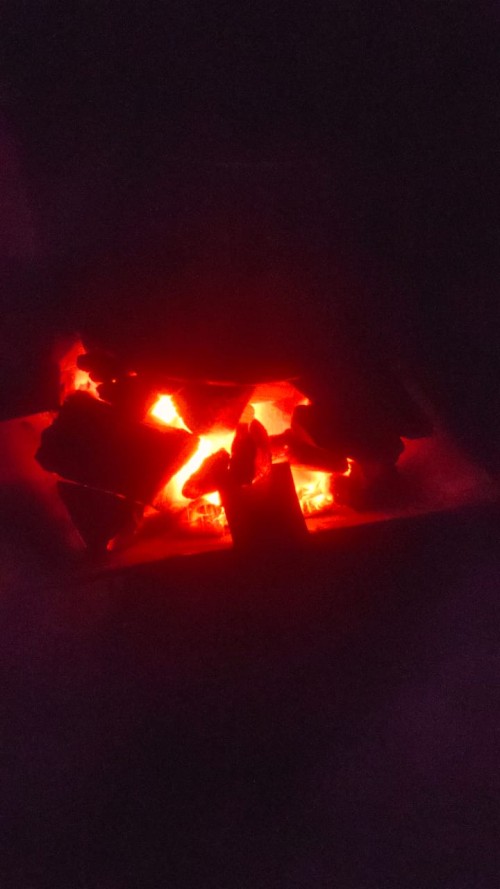 Professional Grade Charcoal