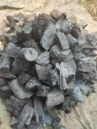 Professional Grade Charcoal