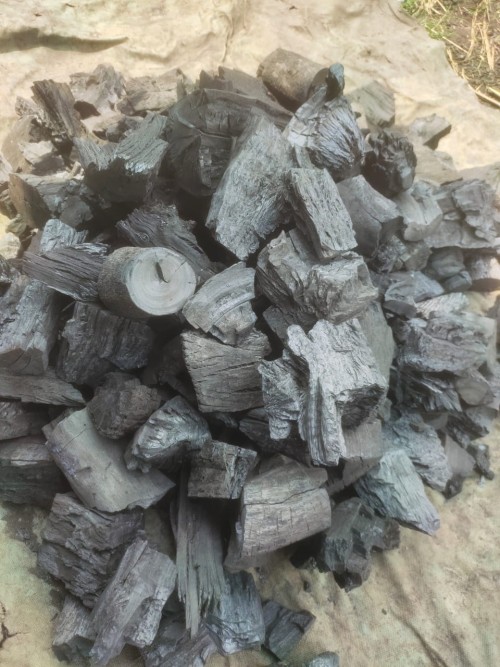 Professional Grade Charcoal