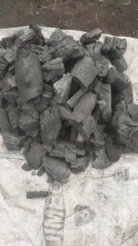 Professional Grade Charcoal