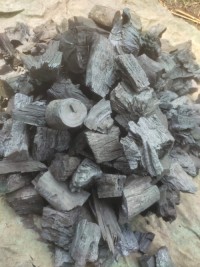 Professional Grade Charcoal