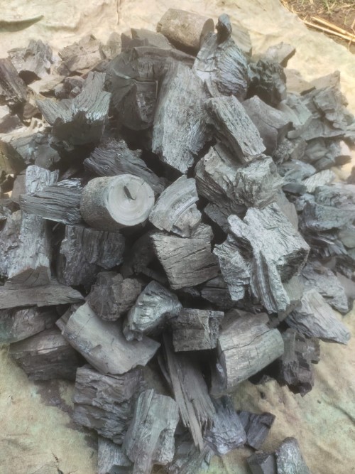 Professional Grade Charcoal